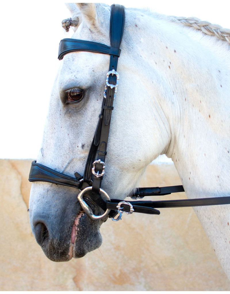 Cabeçada Mista Alemã BREVITAS