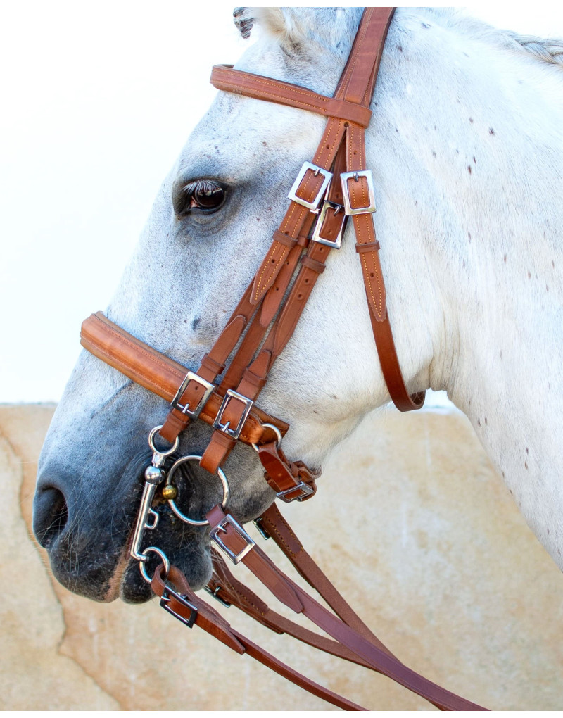 Cabezada Mixta Bocado&Filete VALORIS