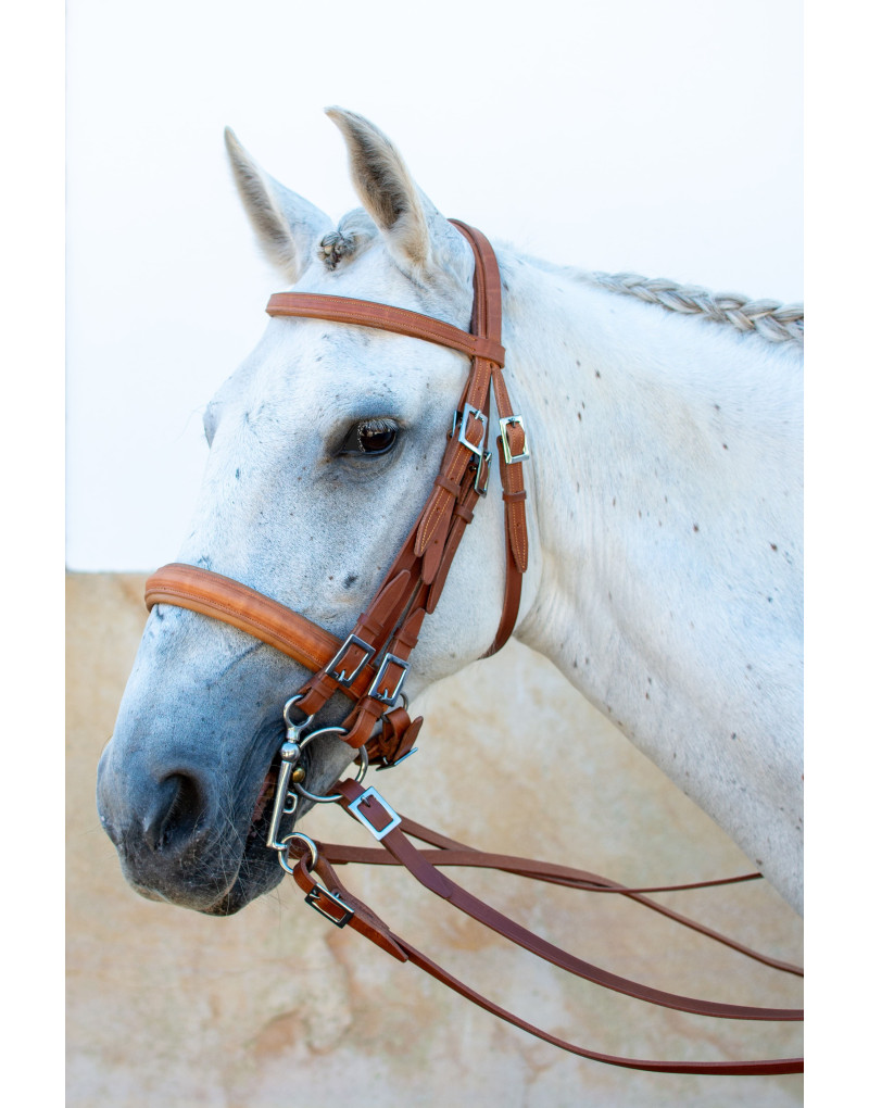 Cabezada Mixta Bocado&Filete VALORIS