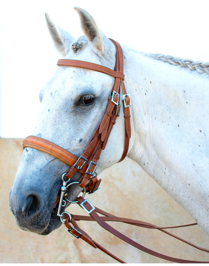 Cabezada Mixta Bocado&Filete VALORIS