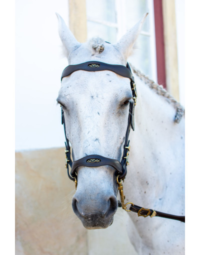 Cabeçada Portuguesa EXCELLUS