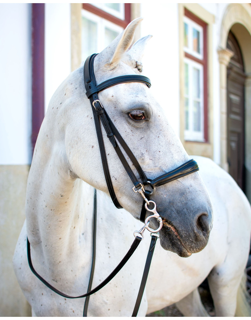 Bridon Mixte Allemande NEXUM
