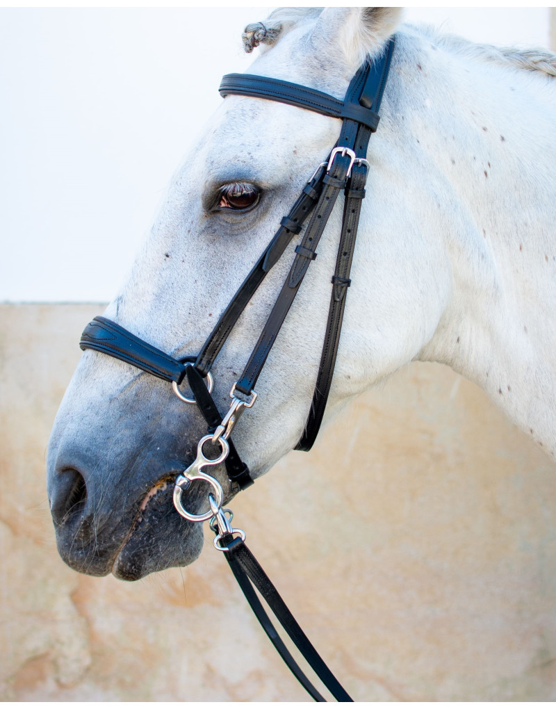 Bridon Mixte Allemande NEXUM