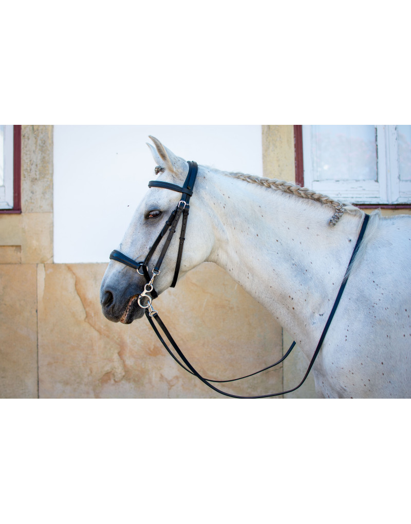 Bridon Mixte Allemande NEXUM