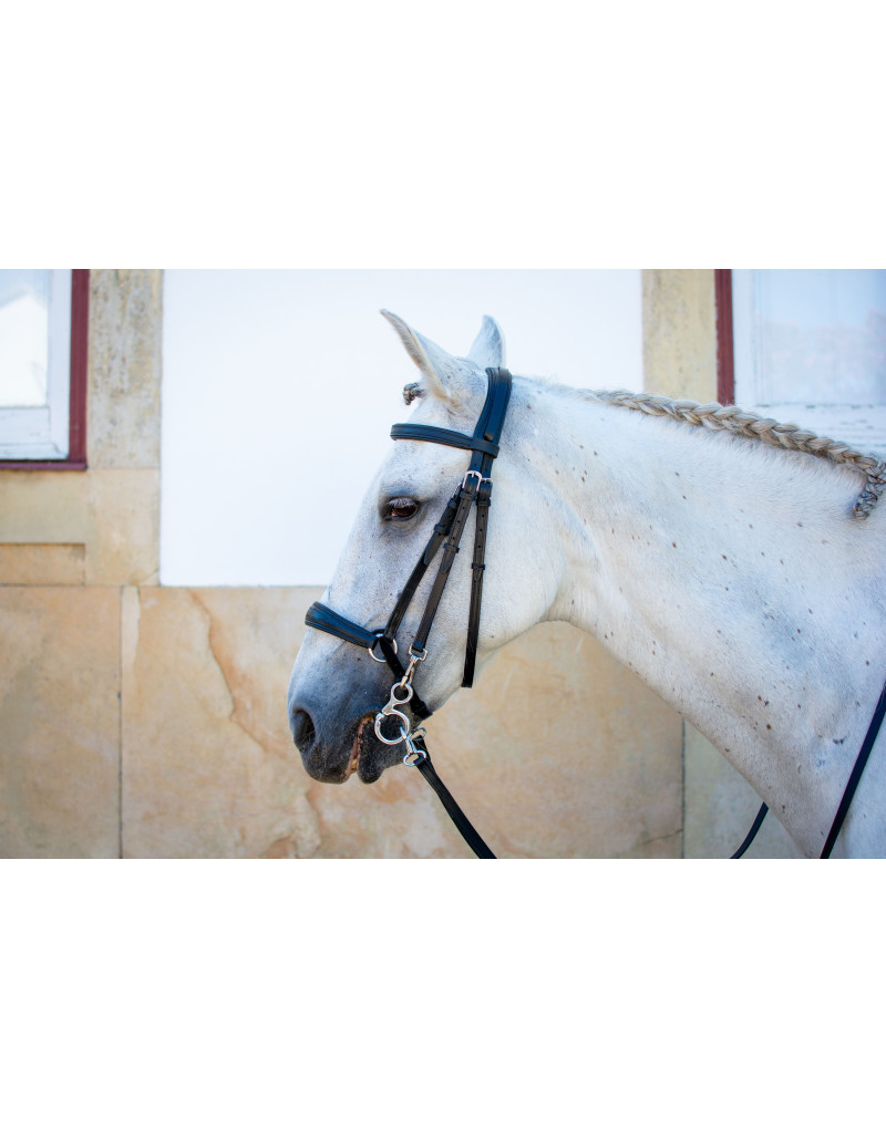 Bridon Mixte Allemande NEXUM