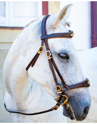 OPTIMA German Mixed Bridle