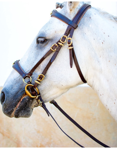 OPTIMA German Mixed Bridle