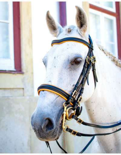 Cabeçada Freio Bridão ETERNUS