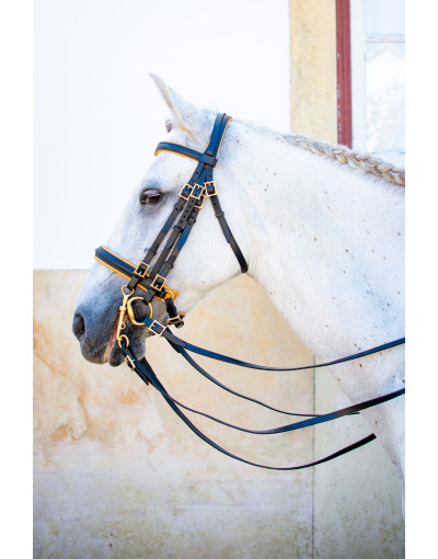 Cabeçada Freio Bridão ETERNUS