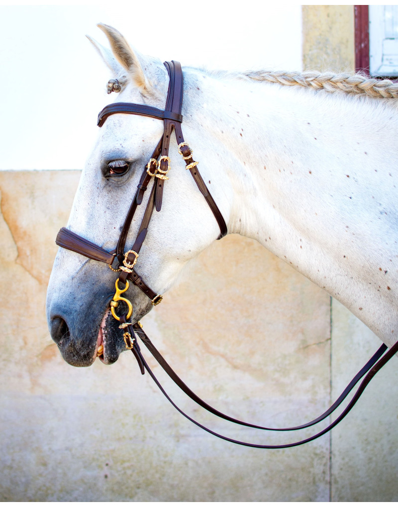 Cabeçada Mista Alemã APTIS