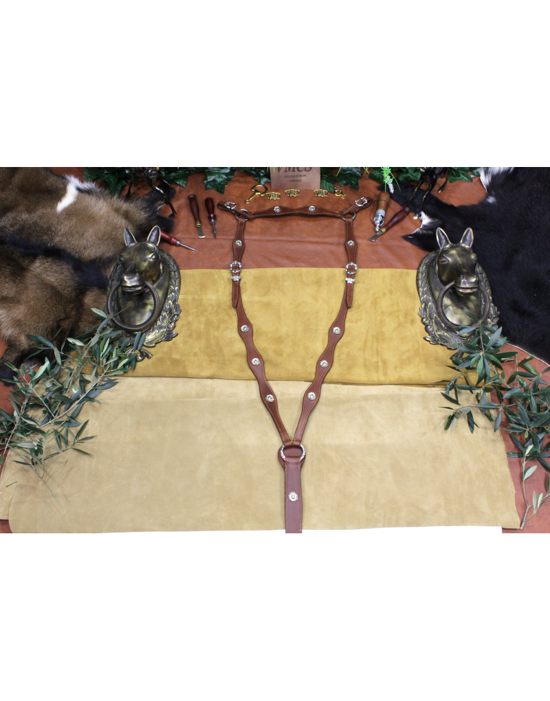 Peitoral MEIA CORTESIA SALVATOR