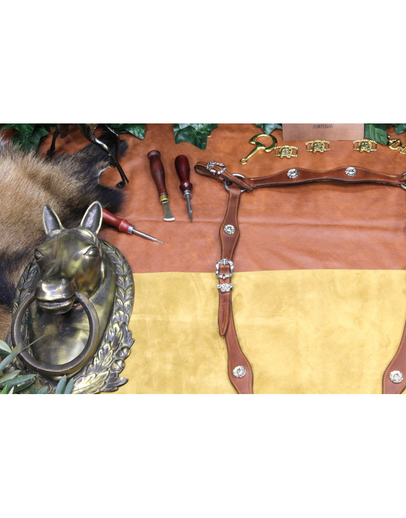 Peitoral MEIA CORTESIA SALVATOR