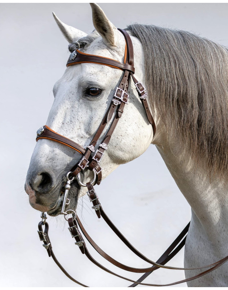 Cabeçada Freio Bridão CONQUER