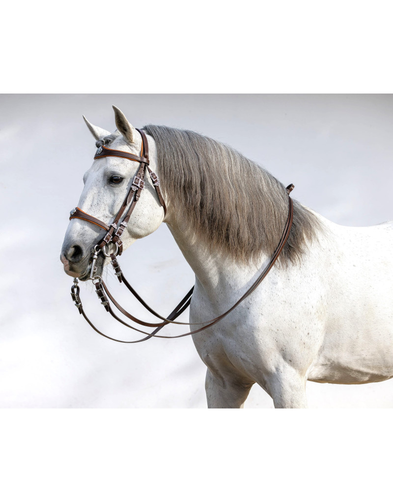 Cabeçada Freio Bridão CONQUER