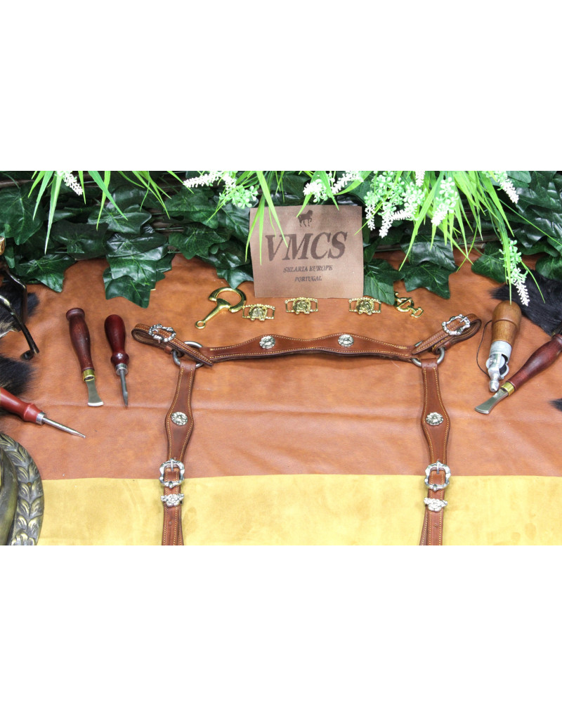 Peitoral MEIA CORTESIA SALVATOR