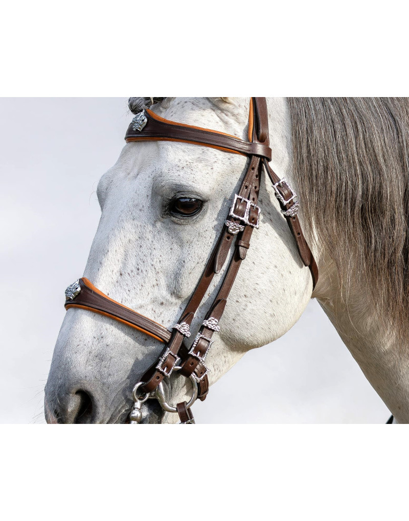 Cabeçada Freio Bridão CONQUER