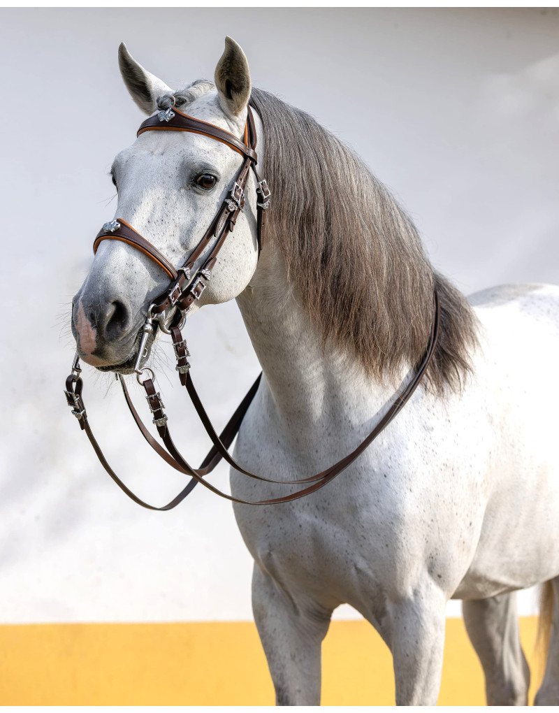 Cabeçada Freio Bridão CONQUER