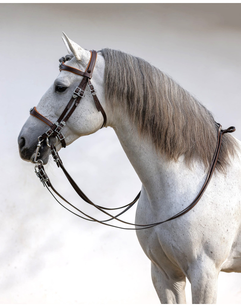Cabeçada Freio Bridão CONQUER