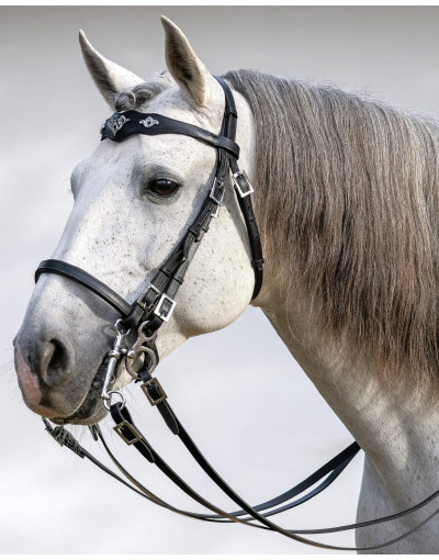 Cabezada Media Cortesía ORNATA