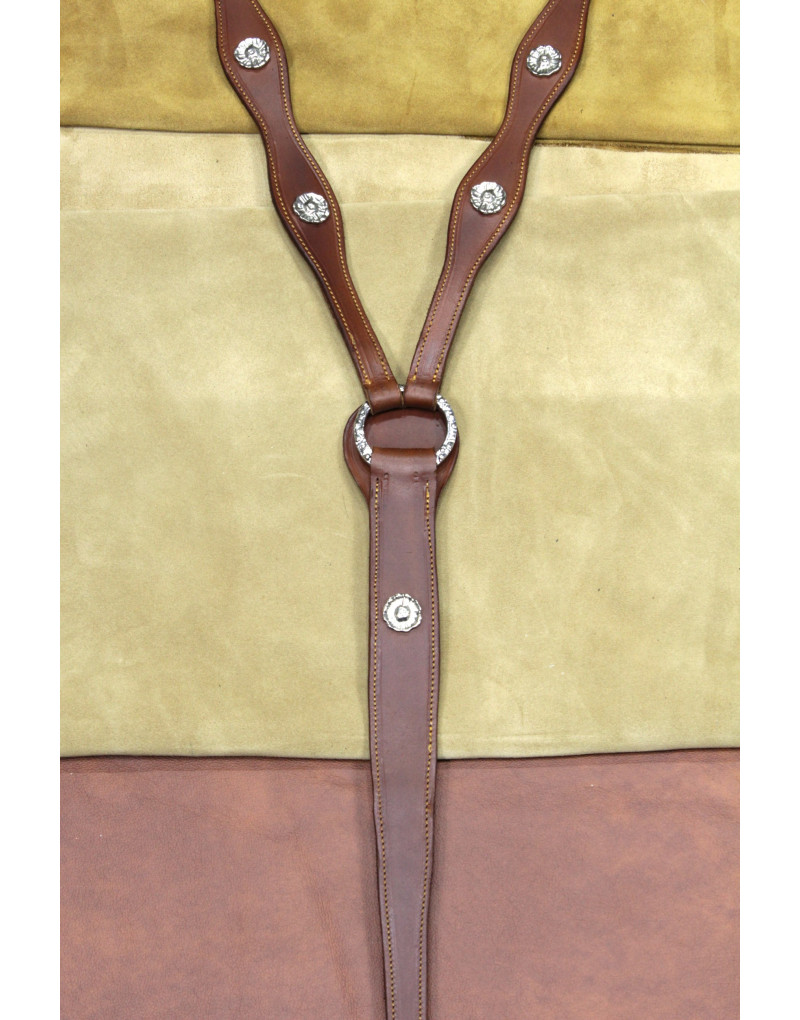 Peitoral MEIA CORTESIA SALVATOR