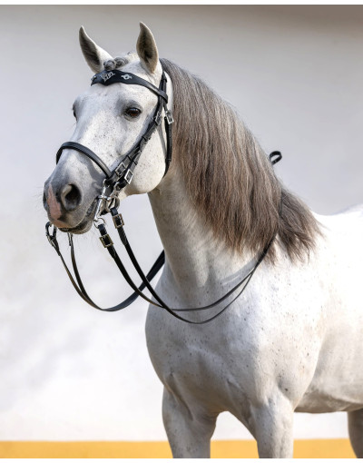 Cabezada Media Cortesía ORNATA
