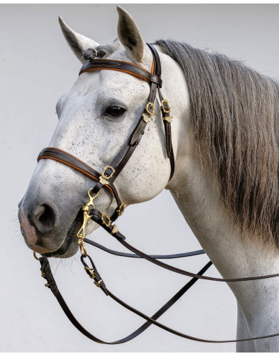 Cabeçada Barroca PROXIMUS