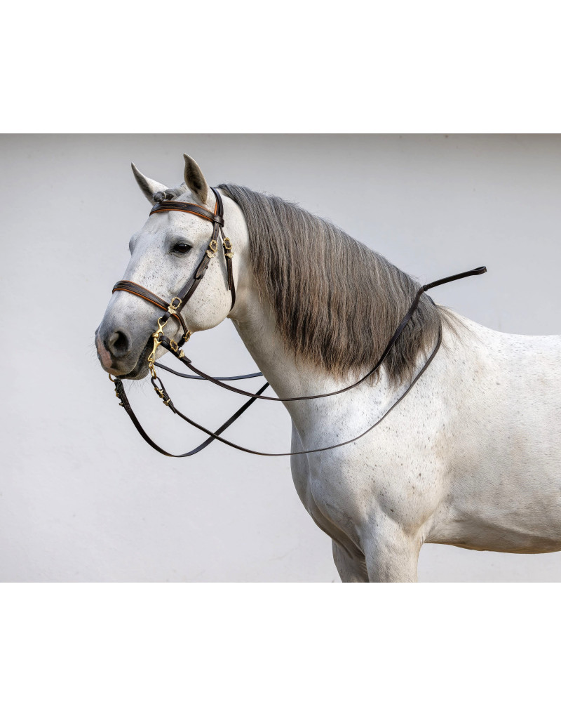 Cabeçada Barroca PROXIMUS