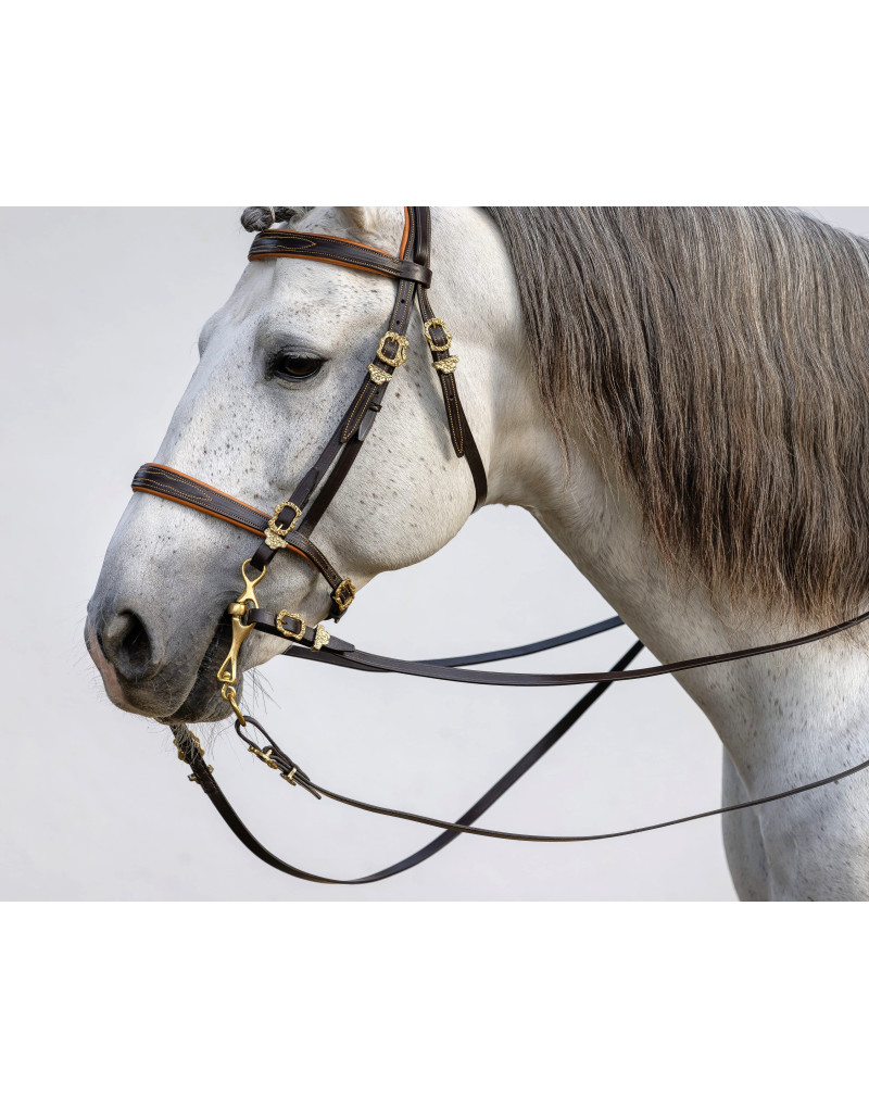 Cabeçada Barroca PROXIMUS