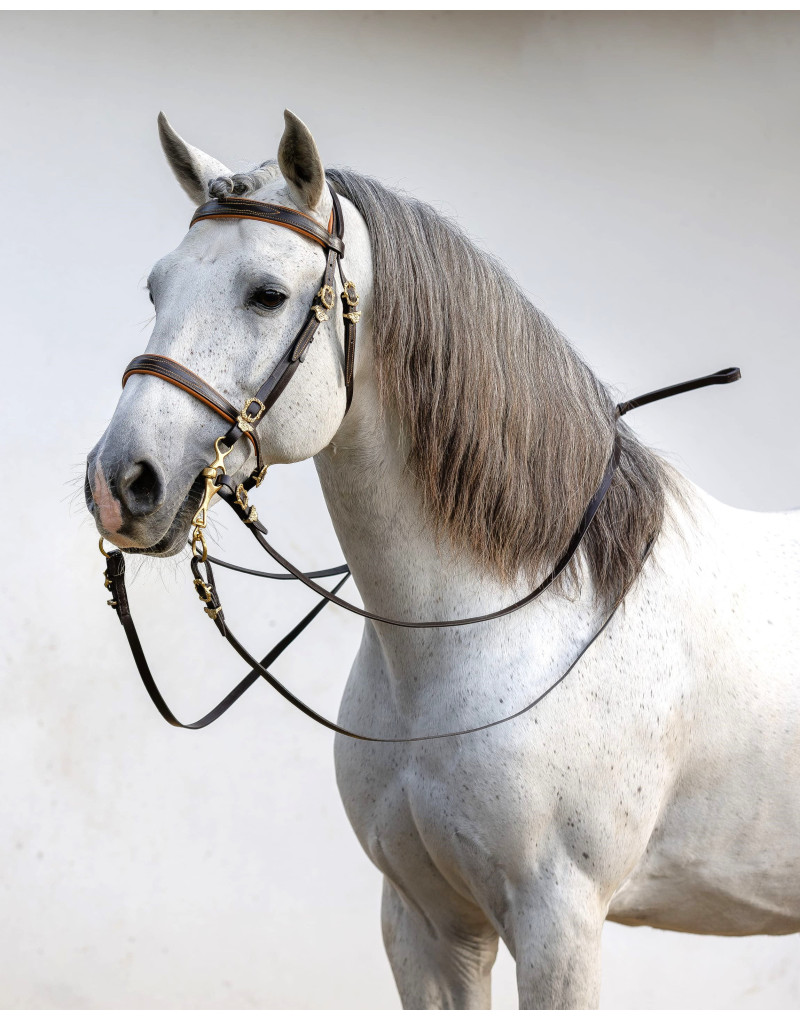 Cabeçada Barroca PROXIMUS