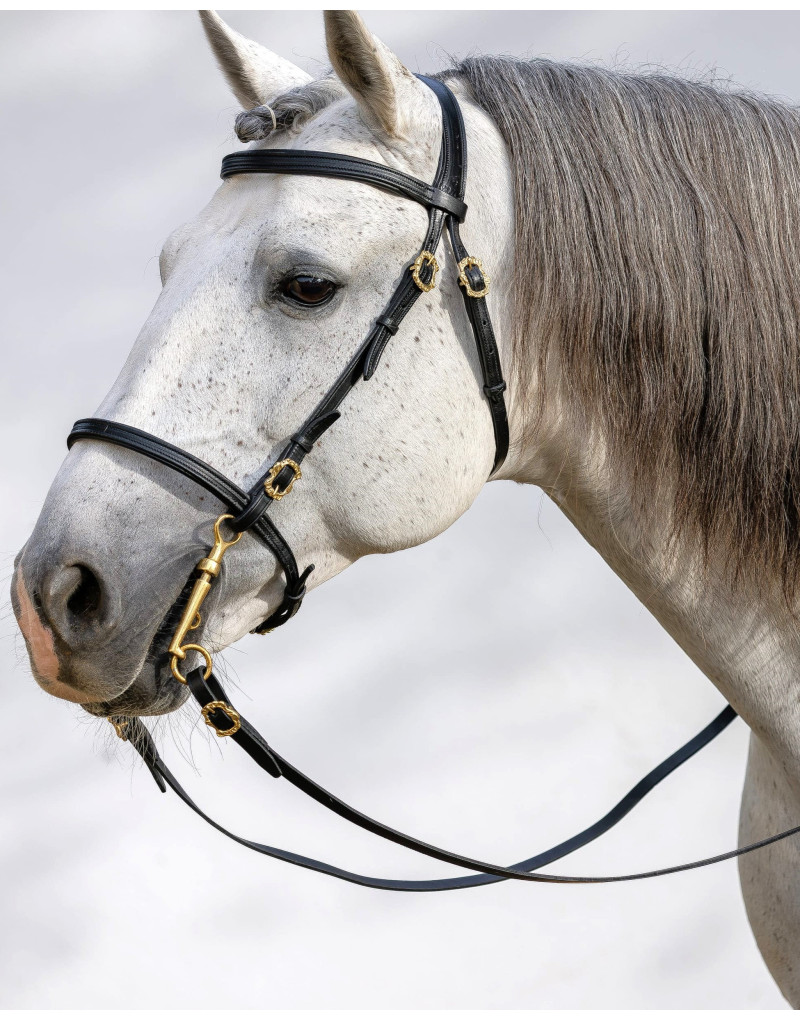 Cabeçada Barroca RIVIERA