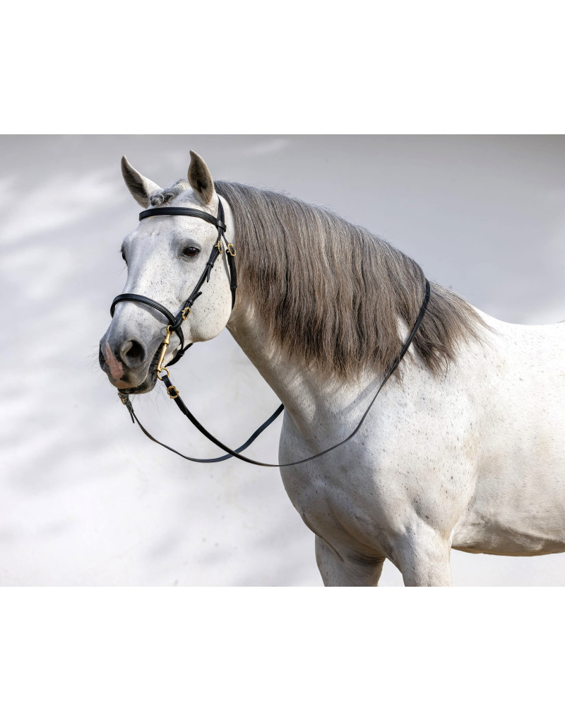 Cabeçada Barroca RIVIERA