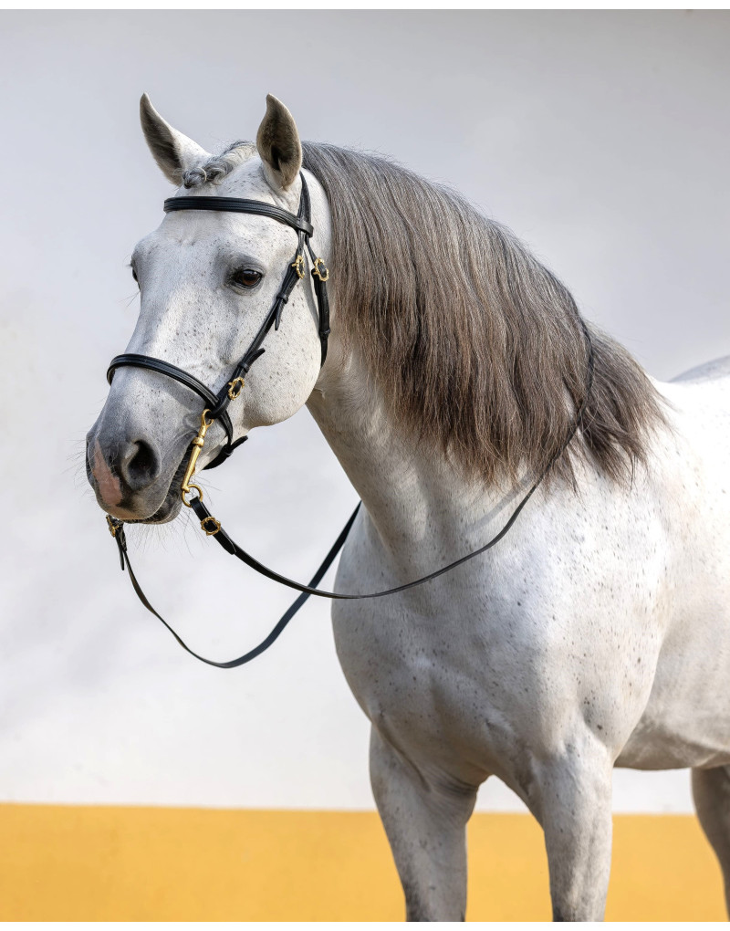 Cabeçada Barroca RIVIERA