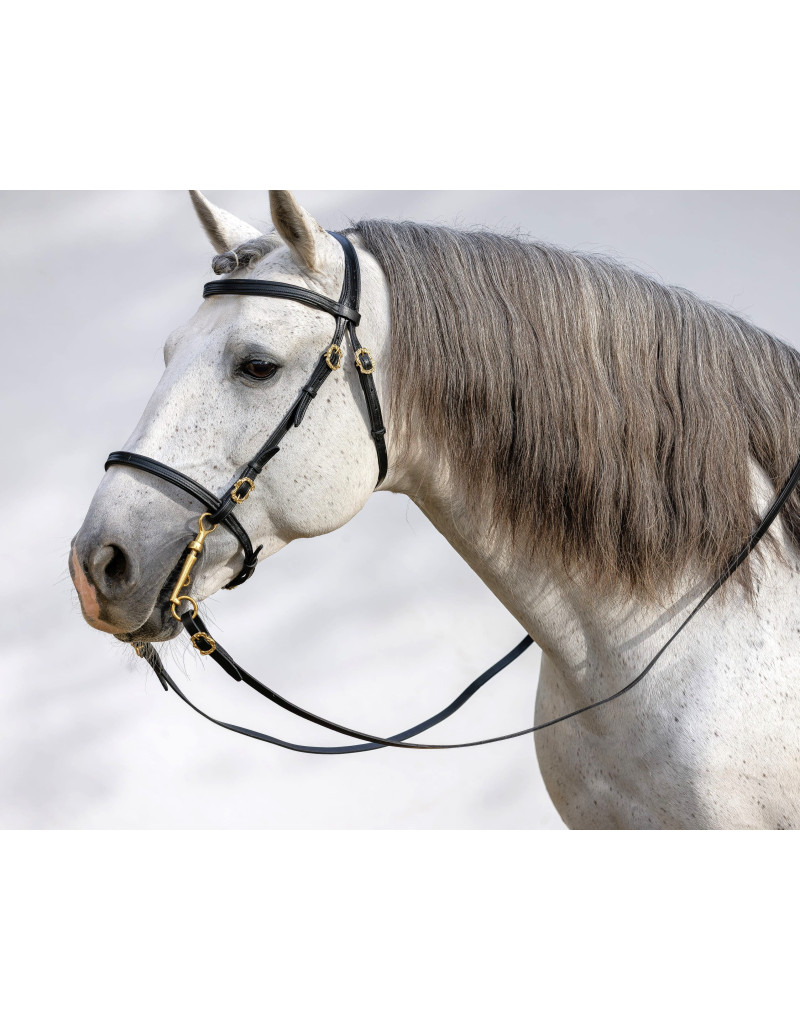 Cabeçada Barroca RIVIERA