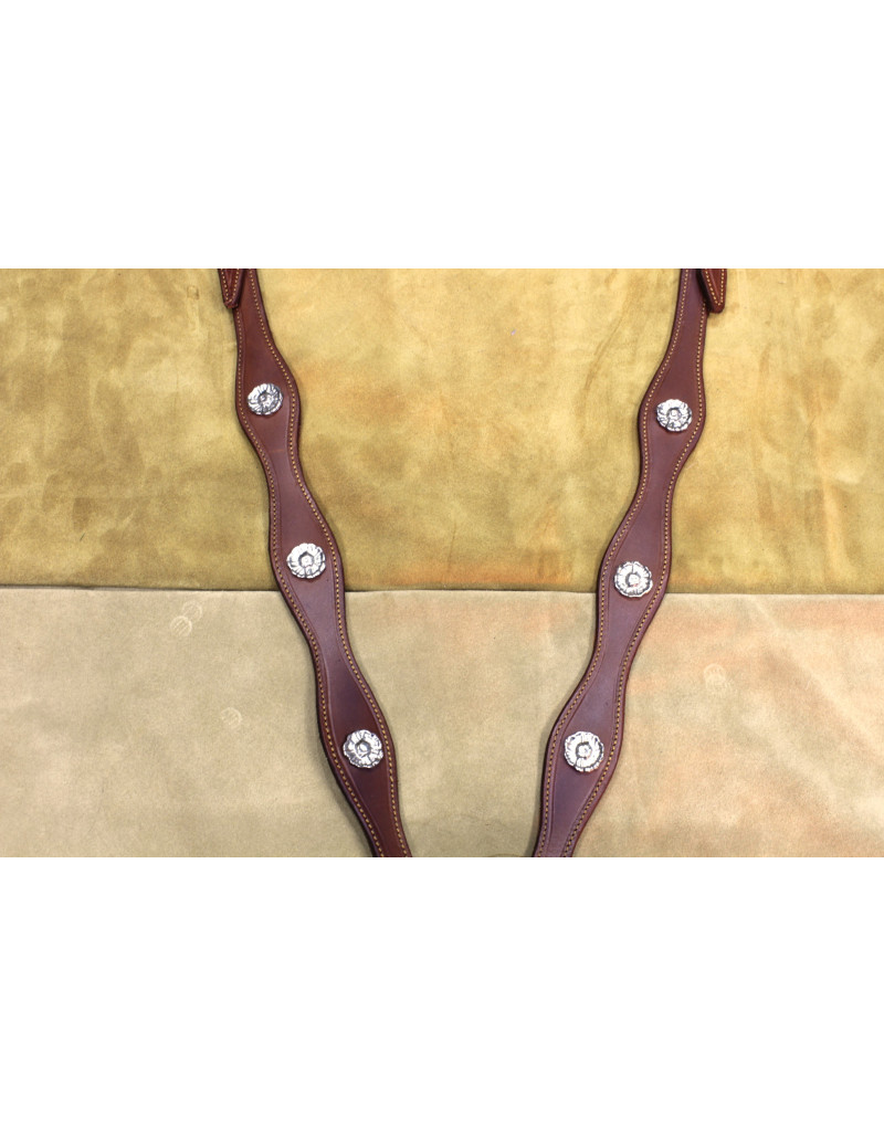 Peitoral MEIA CORTESIA SALVATOR