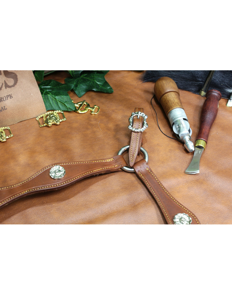 Peitoral MEIA CORTESIA SALVATOR