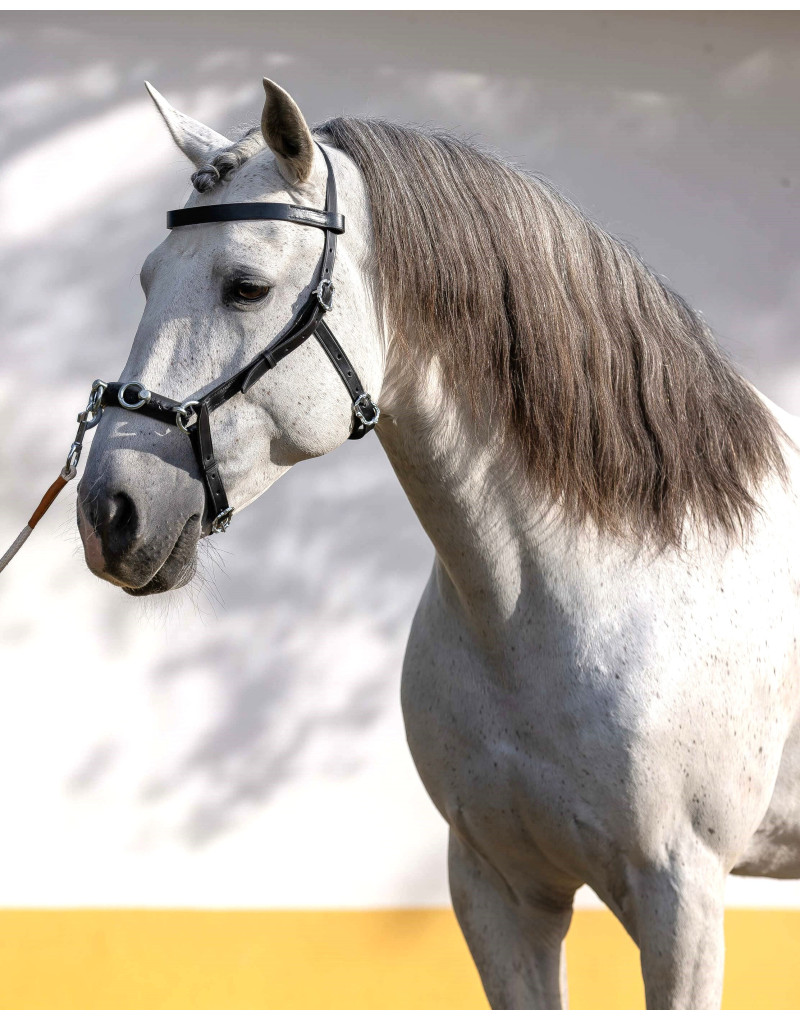 Serrilhão Português AXIS