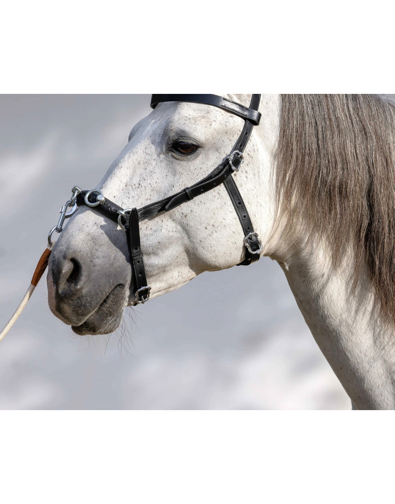 Serrilhão Português AXIS