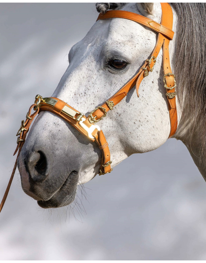 TITAN with a Ring Cavesson