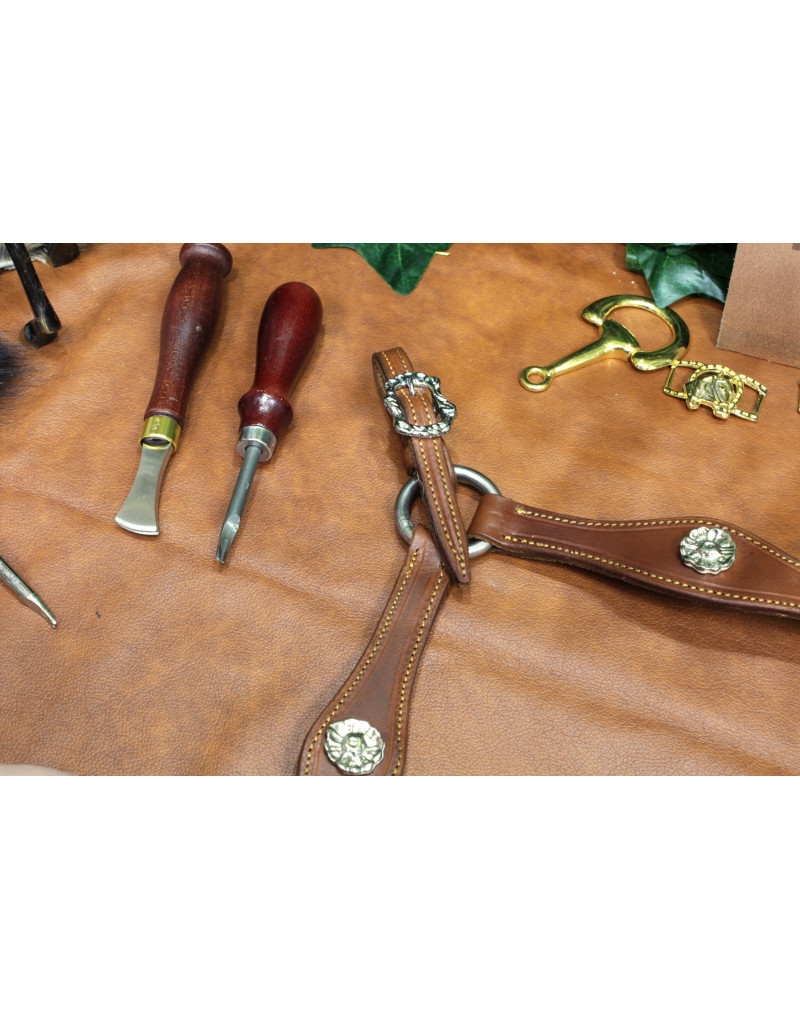 Peitoral MEIA CORTESIA SALVATOR