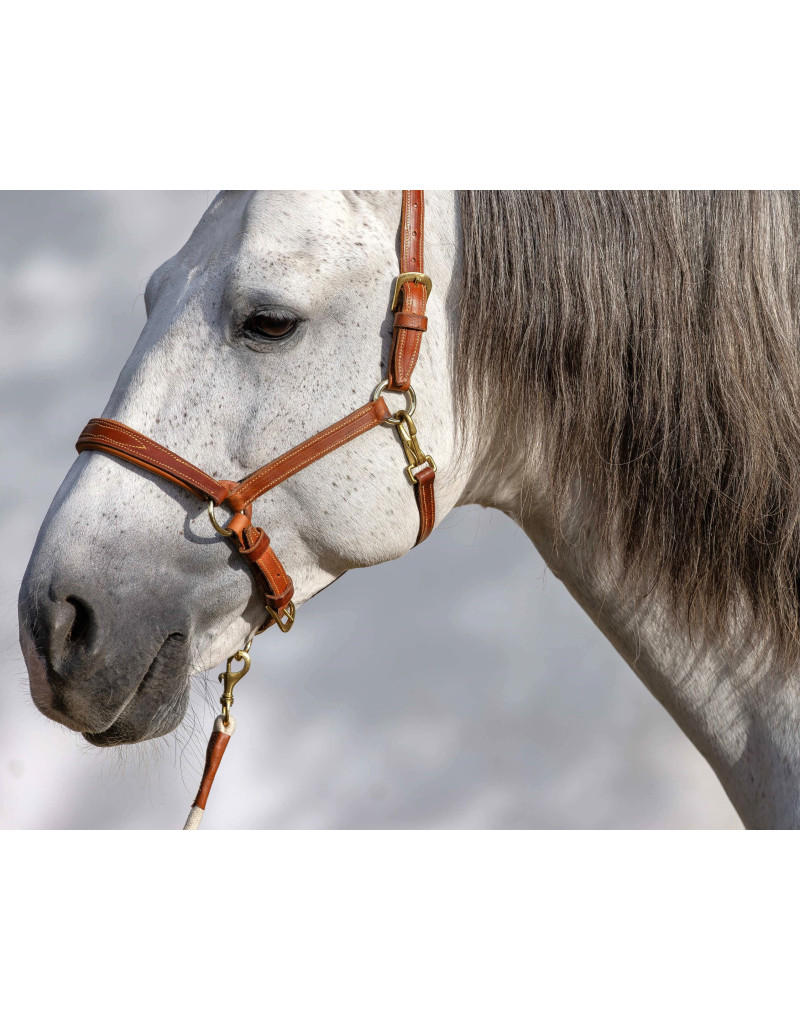 SIMPLEX Leather Reinforced Halter