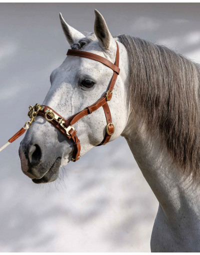 Serrilhão Três Argolas CORE