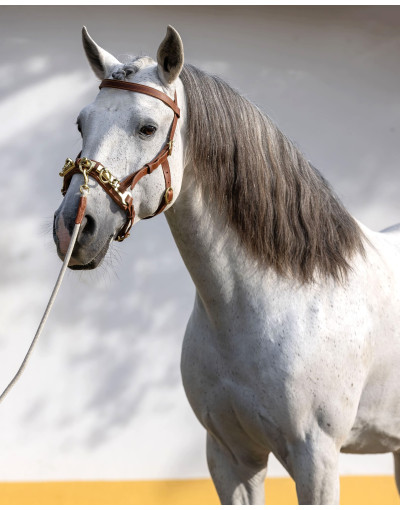 Serrilhão Três Argolas CORE