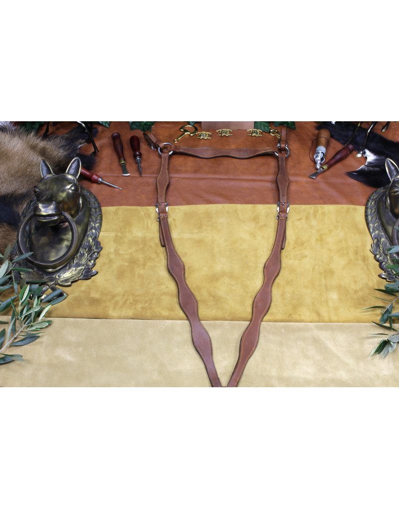 Peitoral MEIA CORTESIA SALVATOR