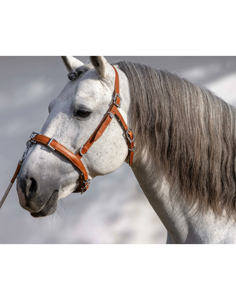 Caveçon en Cuir Trois Anneaux APEZ