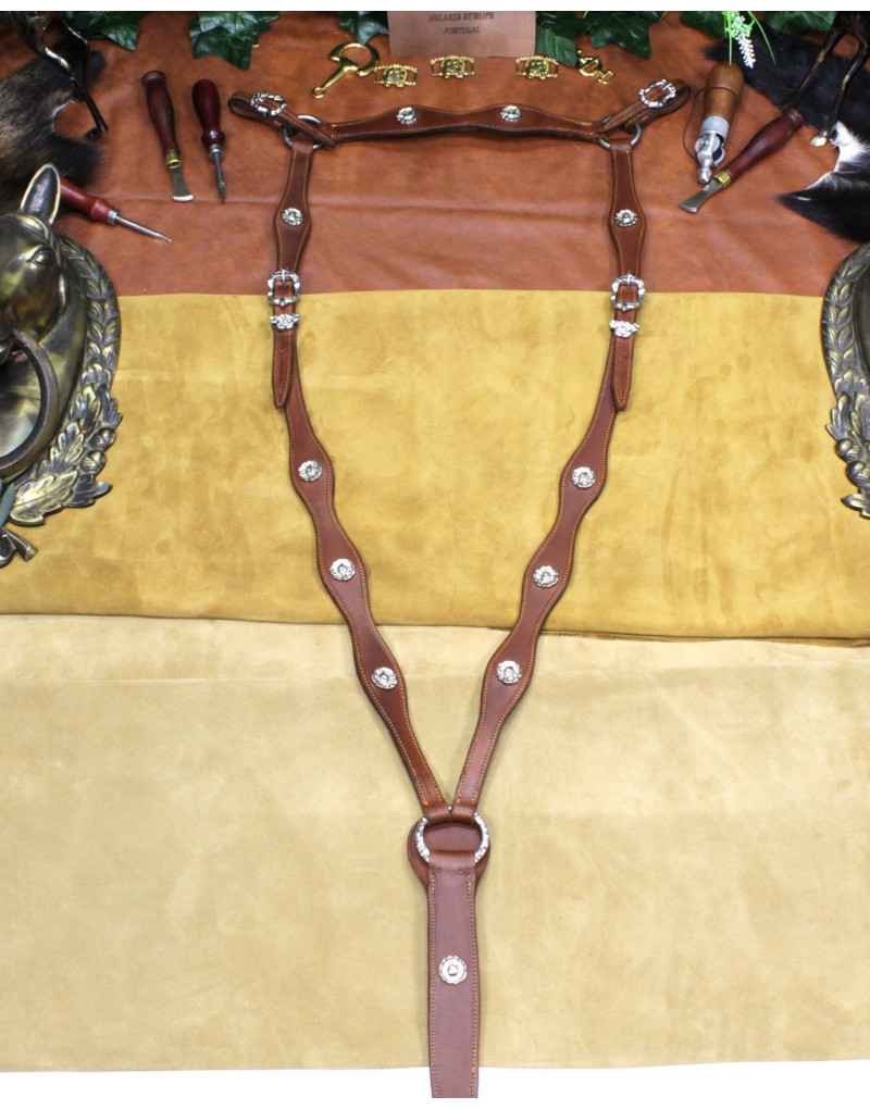 Peitoral MEIA CORTESIA SALVATOR