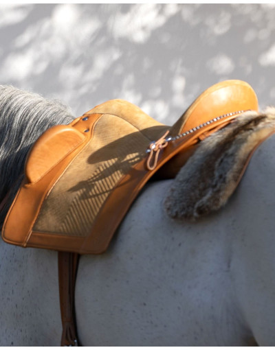 Selim Relvas EQT PLUS