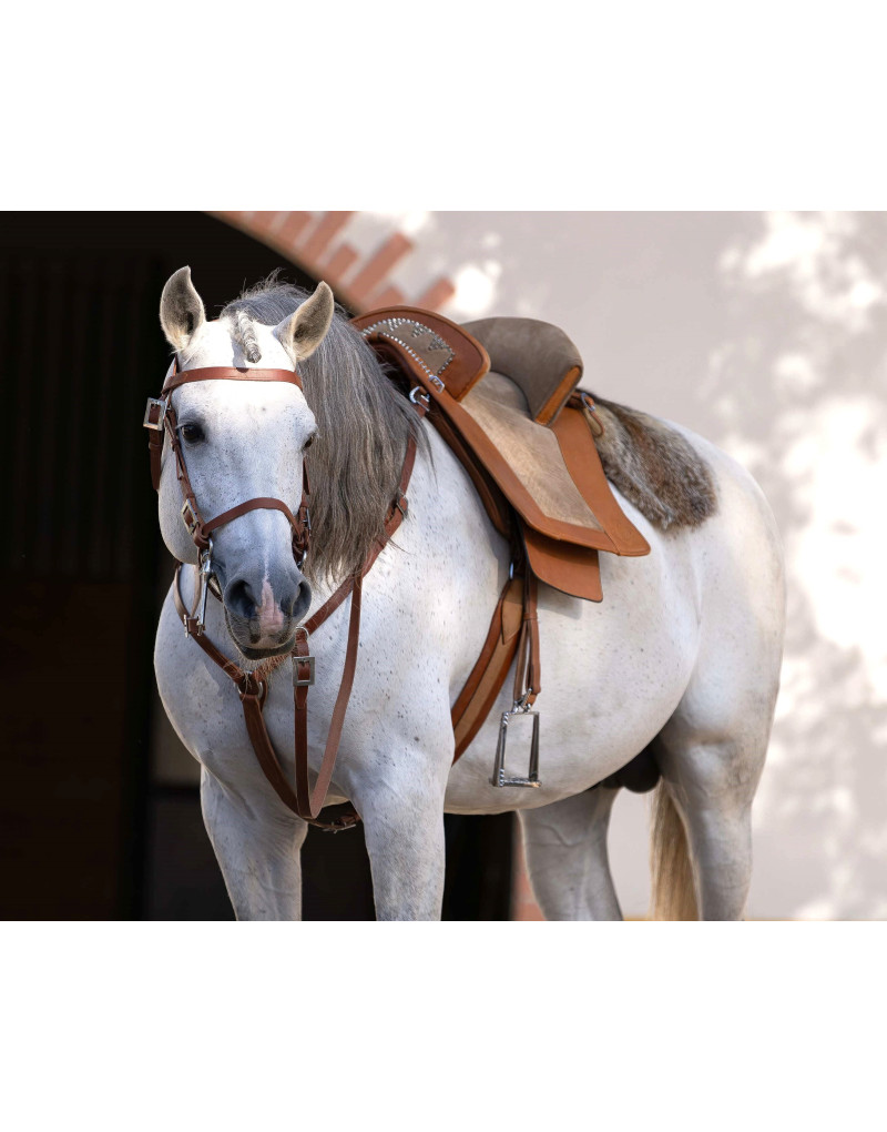 Sela Tradicional Portuguesa