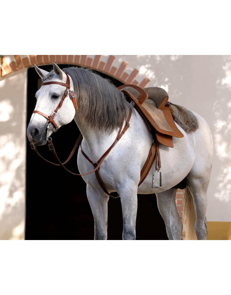 Sela Tradicional Portuguesa