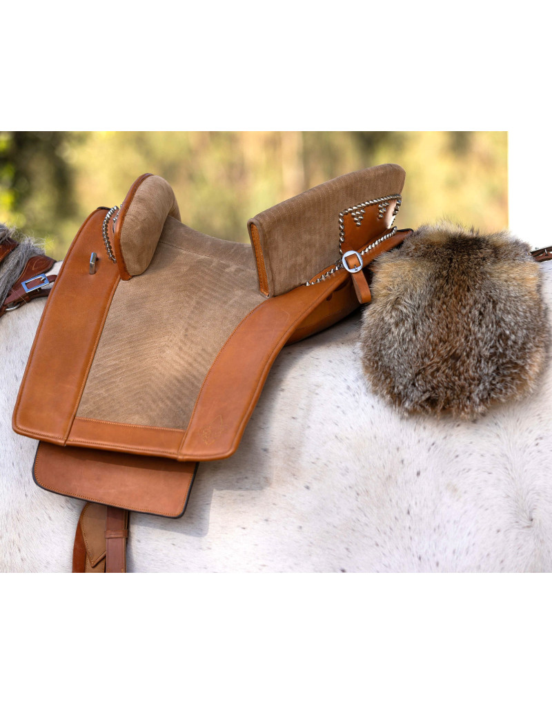 Sela Tradicional Portuguesa