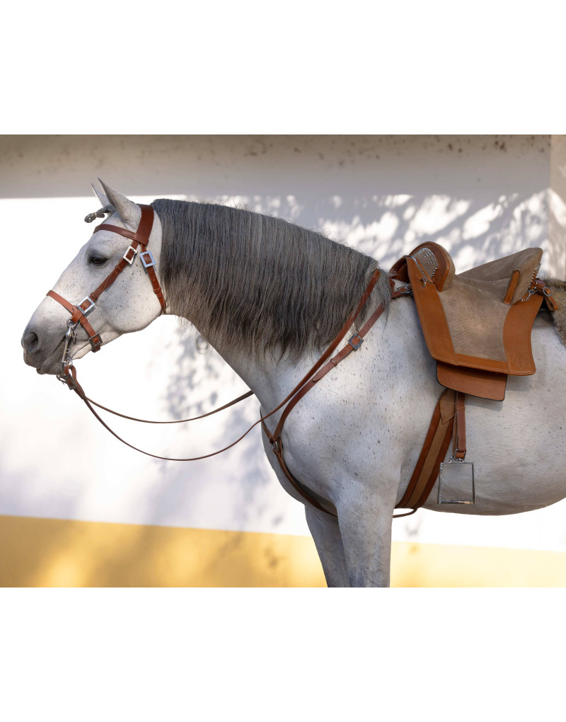 Sela Tradicional Portuguesa